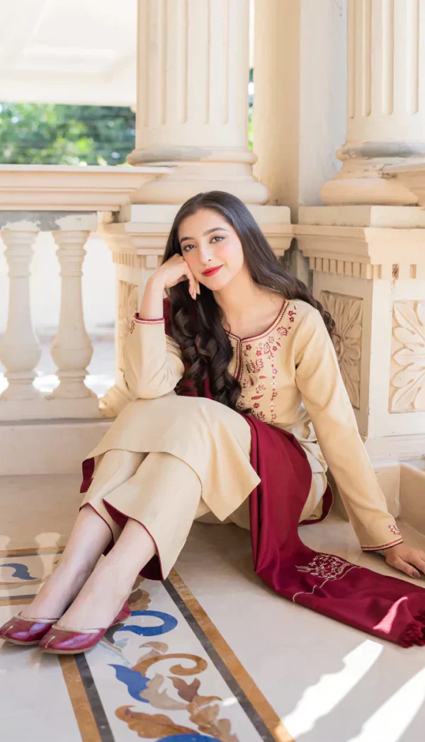 AISLING 3PC Dhanak suit with Embroidered Shawll