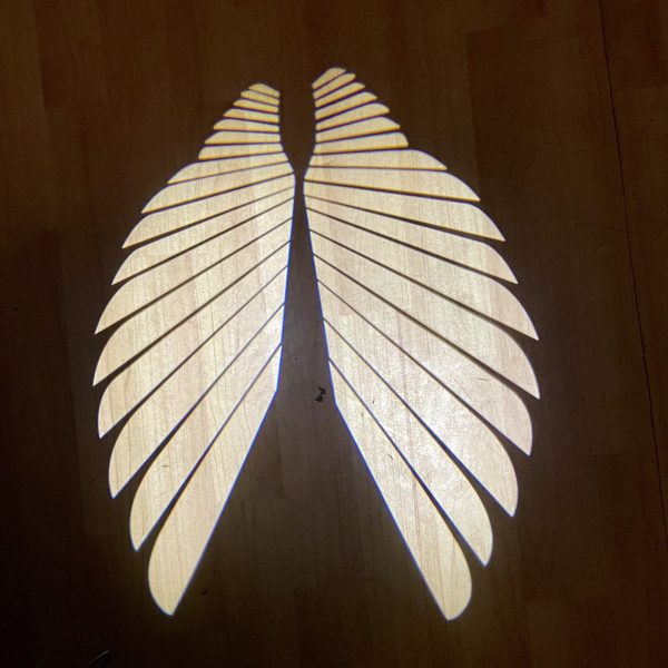 Angel Wing LED Lamp Lights For All Bikes And Cars Road Refit White,Blue,Red